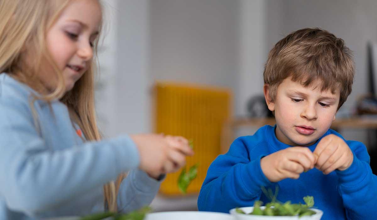 Çocuk Beslenmesi Danışmanlığı (2–10 Yaş)