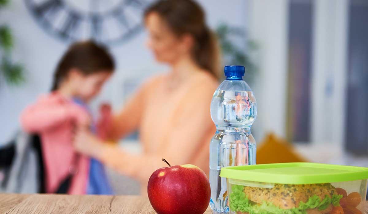 Okul Çağı Beslenme Danışmanlığı