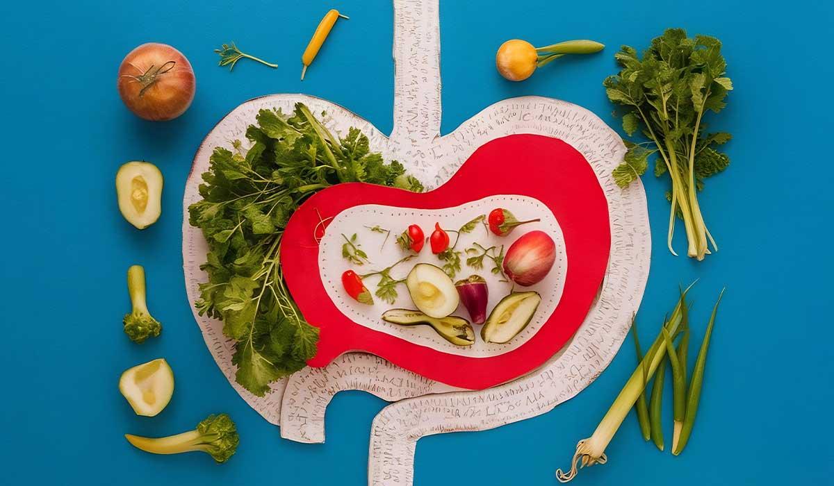 Gastrit ve Reflü Beslenme Danışmanlığı